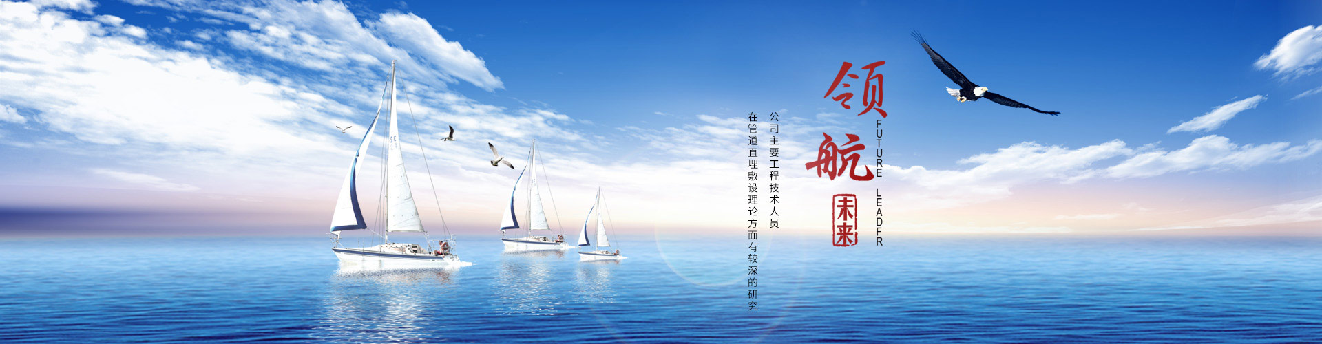 �����ӯ���²���|����¹ܲ�|����²��ϳ���|����������̼�|��������Ϲ���������|������ò���